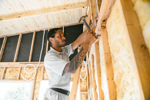 Best Insulation Removal Services  in Blaine, TN