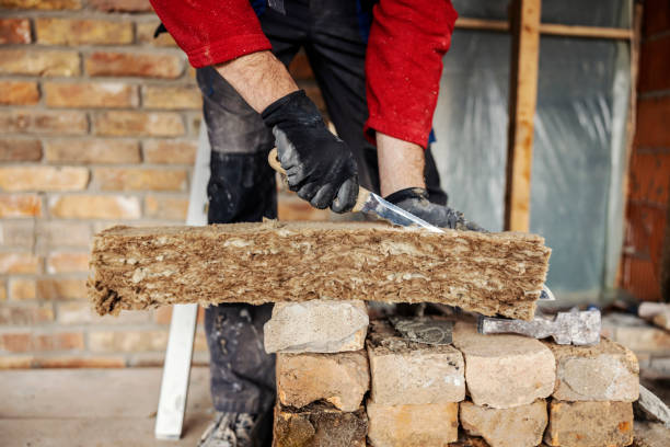 Best Garage Insulation Installation  in Blaine, TN